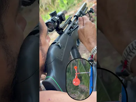 Regulagem pra Caçada - Porco