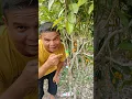 Download Lagu Buah apa itu dek #shorts #trending #funny #subscribe