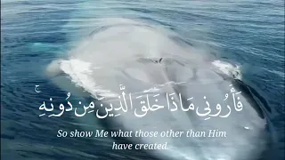 هاذا خلق الله فأروني ماذا خلق الذين من دونه  اسلام صبحي دندنها