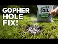 How to Easily Fill a Gopher Hole