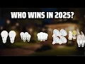 The Top 5 Best Dusk to Dawn Bulbs in 2025 - Must Watch Before Buying