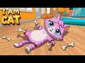 CAT GETS BROKEN BONES in I am cat