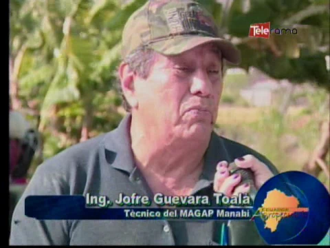 Ecuador Agropecuario 12-01-2017