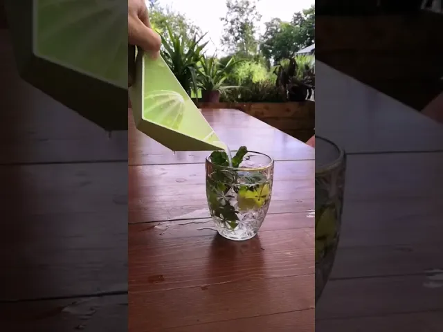 Citrus juicer “Boaty” video thumbnail