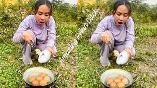 Amazing Pekin Duck Hatching From Eggs - Baby Duck New Born