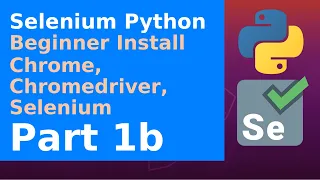 Selenium Python - Install Selenium Chromedriver Chrome on Ubuntu Debian Python