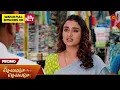 Lagu Chellame Chellame - Promo | 17 Dec 2025 | Tamil Serial | Sun TV
