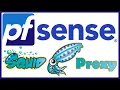Squid Proxy Configure on pfSense 2 5 2