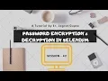 Must Watch Password Encryption Decryption - Selenium WebDriver