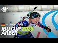 Download Lagu IBU Cup 2024-2025 Arber Highlights