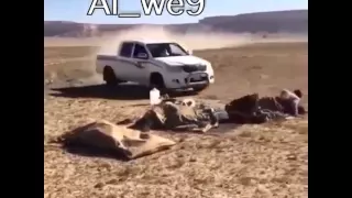 عن اتفهه المشاكل وتقولو اه يازمن    دندنها