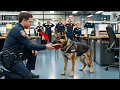 Download Lagu K9 Officer Finds Bloodstained Shoes—The Hunt for Missing Girl Begins!