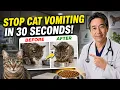 The Real Reason Your Cat Throws Up After Eating And the 30-Second Fix
