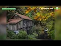 A look at fall in Clark County Washington