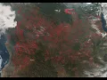 Forest Fire Simulation - Demo