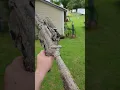 MOSSBERG INTERNSTIONAL 715T AR22