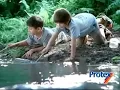 Lagu Malaysia Chinese TVC: Protex Fresh (2010)