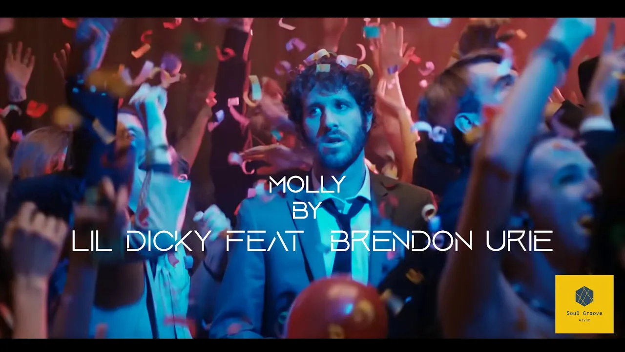 Lil Dicky - Molly feat. Brendon Urie  / 432Hz