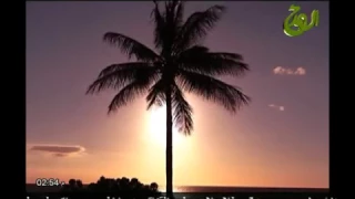 قصيدة طائر الحب دندنها