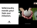 Wikimedia Technology Training 2024 Developers Ecosystem