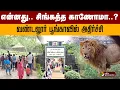 Download Lagu என்னது.. சிங்கத்த காணோமா..? வண்டலூர் பூங்காவில் அதிர்ச்சி | vandalur zoo | lion | ptd