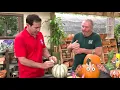 Pumpkin Decorating Tips
