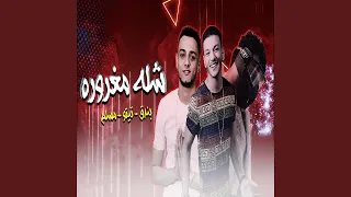 مهرجان شلة مغرورة  مهرجان شلة مغرورة