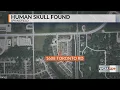 Human skull discovered in Springfield creek coroner and police investigating