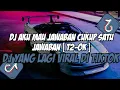 Download Lagu DJ AKU MAU JAWABAN CUKUP SATU JAWABAN[ T2-OK ] || DJ YANG LAGI VIRAL DI TIKTOK