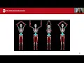 Computer Modeling Simulations of Human Movement