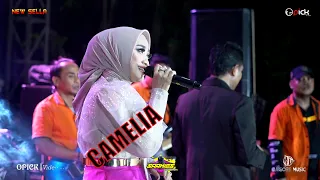 Download ANISA RAHMA  DI CIUM PENYAWER - CAMELIA - NEW SELLA MP3