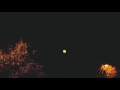 Captain Hook (Millionyoung Remix)
