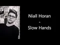 Niall Horan - Slow Hands (lyrics)
