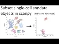 Guide to filtering and subsetting single-cell anndata and pandas objects basic and advanced