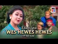 Download Lagu Endah Laras - Wes Hewes Hewes (Aneka Hit Campursari) IMC Record Java