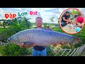 Download Lagu Lần Đầu Thả Lưới Được Cá Trắm Đen Siêu To Và Công Khai Số Tiền Đập Lợn / Quế Nghịch