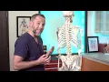 Lagu Lumbar Puncture Anatomy | Adult EM Bootcamp