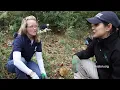 Reston Today - NeighborWoods Month