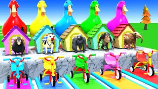 Long Slide Game with Cow Elephant Gorilla Hippopotamus Tiger 3d Animal Game Funny 3d Animals