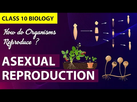 How Do Organisms Reproduce Animation PART-1 CBSE Class 10 Biology Chapter 7 NCERT - Science video for Grade 10