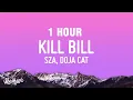 1 HOUR SZA - Kill Bill ft Doja Cat Remix