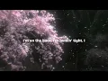 Harleys in Hawaii - Katy Perry (Lyrics)