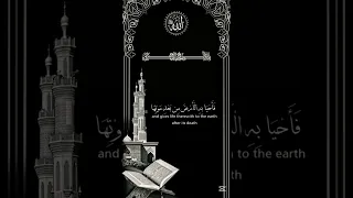 من الذي ينزل المطر ويحيي الأرض آية تذكرك بعظمة الله العنكبوت 63 قرآن آيات سورة العنكبوت 