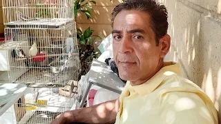                                                                        دندنها