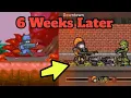 TZL - 6 Weeks of Progress
