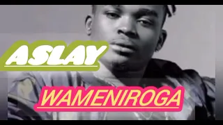 aslay wameniloga official video audio