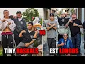 Tiny Raskals vs Longos The Gang War That Claimed 40 Bodies In 5 Years