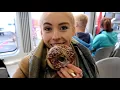 VLOG Back to Berlin, back to Ballet? Story Time Ballet, Vitamin D supplements and #veganlife