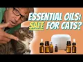 Are Essential Oils Safe for Cats