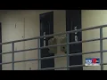 Caddo Correctional Overcrowding
